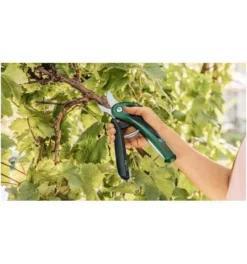 Bosch Akku-Gartenschere EasyPrune Classic -Makki Geschaft akku gartenscheren 1473207 czm