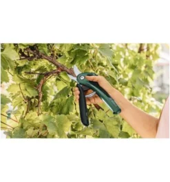 Bosch Akku-Gartenschere EasyPrune -Makki Geschaft akku gartenscheren 608884 czm