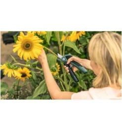 Bosch Akku-Gartenschere EasyPrune -Makki Geschaft akku gartenscheren 904321 czm