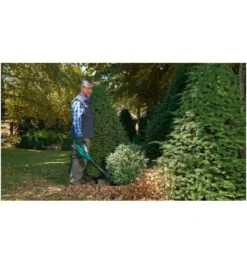 Bosch Akku-Laubbläser ALB 36 LI, Mit 1 X Akkupack Lithium-Ionen 36V / 2,0 Ah -Makki Geschaft laubsauger akku 903942 czm