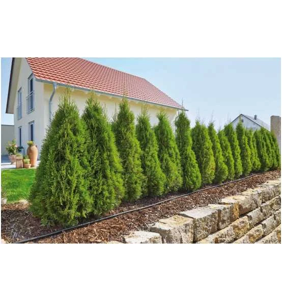 Gardena MDS Start Set Pflanzreihen M 13011-20 Tropfrohr Oberirdisch 2 Gardena MDS Start Set Pflanzreihen M 13011-20 Tropfrohr Oberirdisch – Bild 2