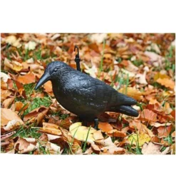 Swissinno Taubenabwehr-Rabe -Makki Geschaft schaedlingsabwehr 1260659 czm