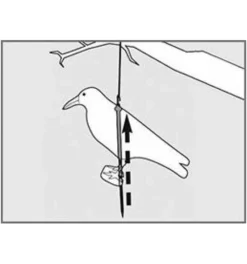 Swissinno Taubenabwehr-Rabe -Makki Geschaft schaedlingsabwehr 1260759 czm